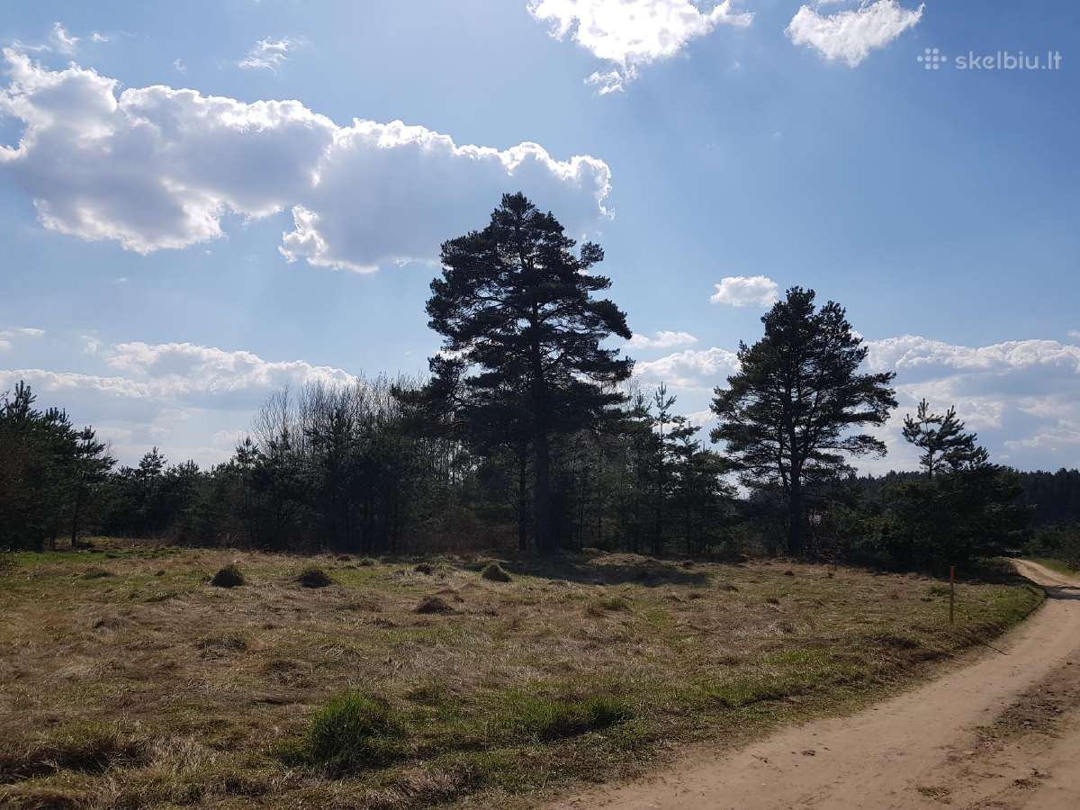 Žemės (namų valdos) sklypas - nuotraukos Nr. 2