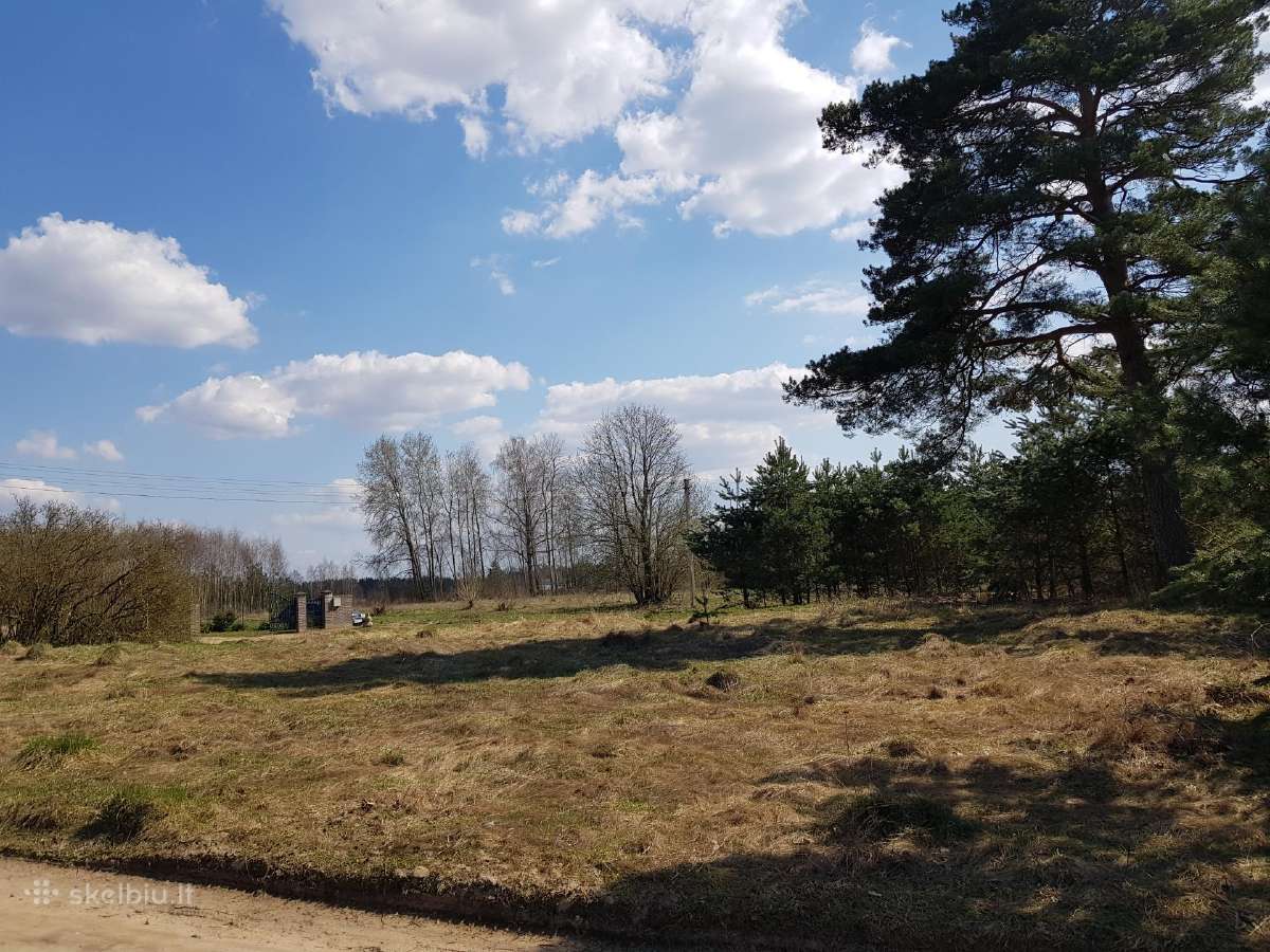 Žemės (namų valdos) sklypas - nuotraukos Nr. 3