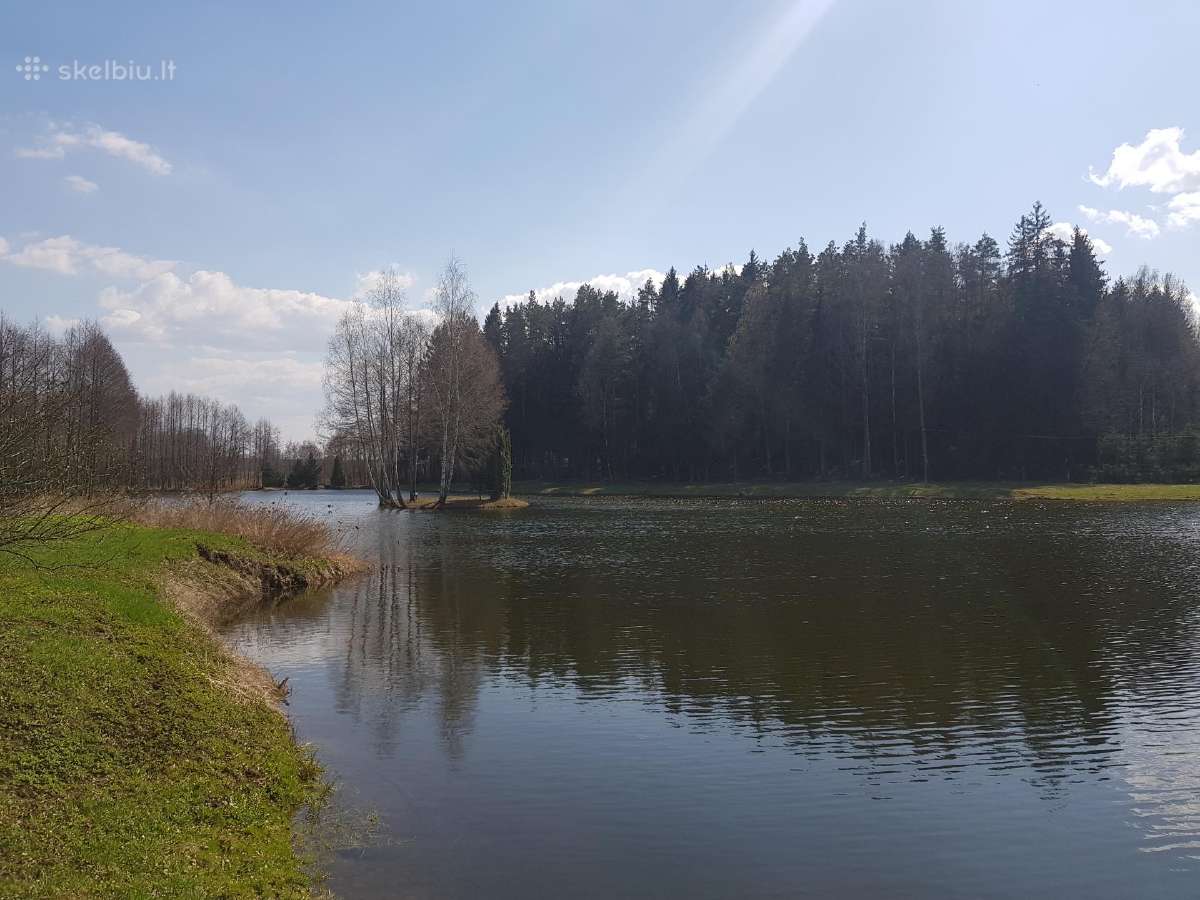 Žemės (namų valdos) sklypas - nuotraukos Nr. 6