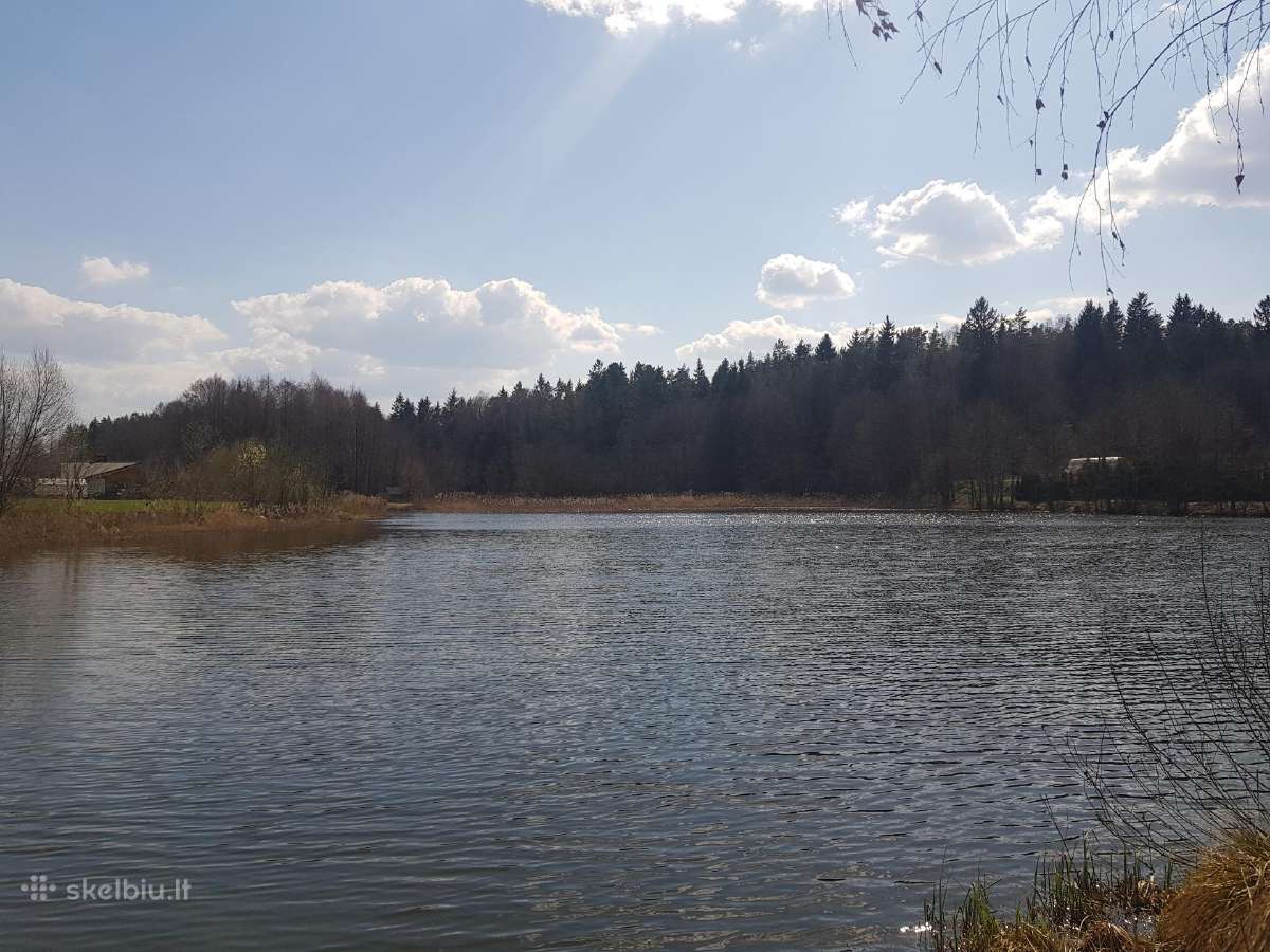 Žemės (namų valdos) sklypas - nuotraukos Nr. 7