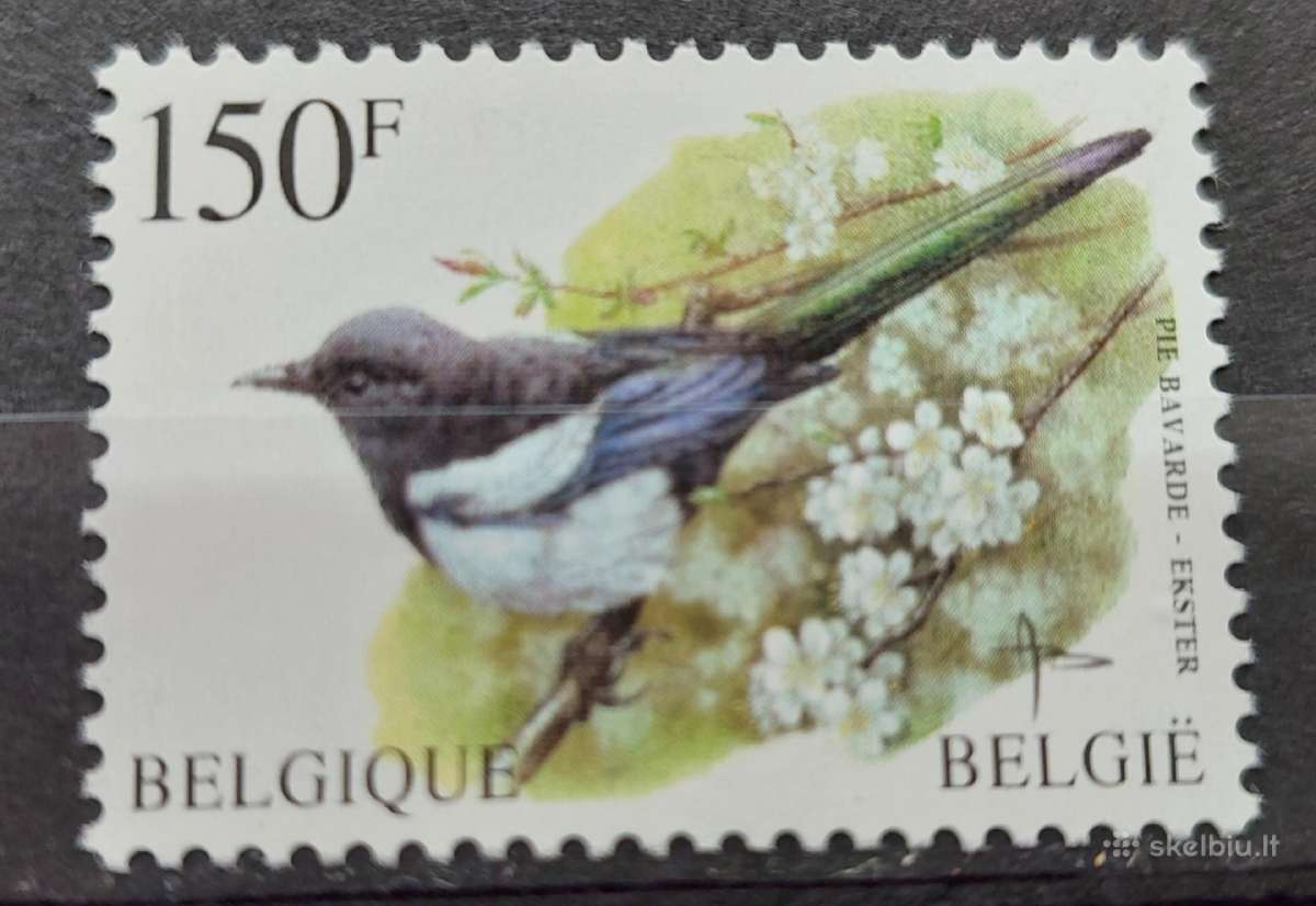 Belgija 1997 paukštis, švarus, Michel Nr.2749