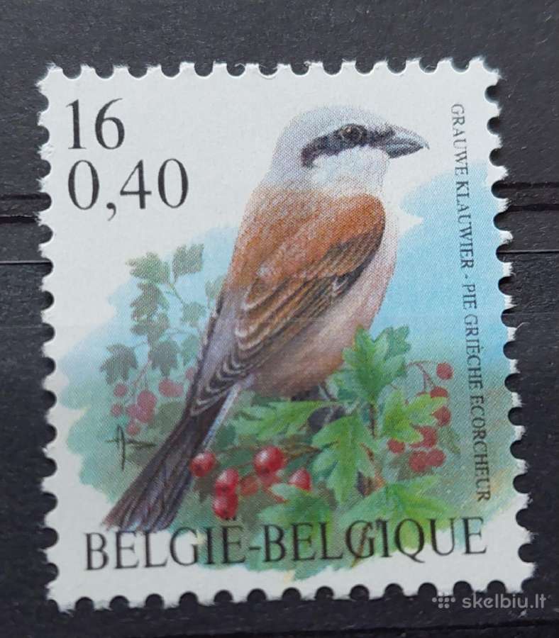 Belgija 2000 paukštis, švarus, Michel Nr.2931