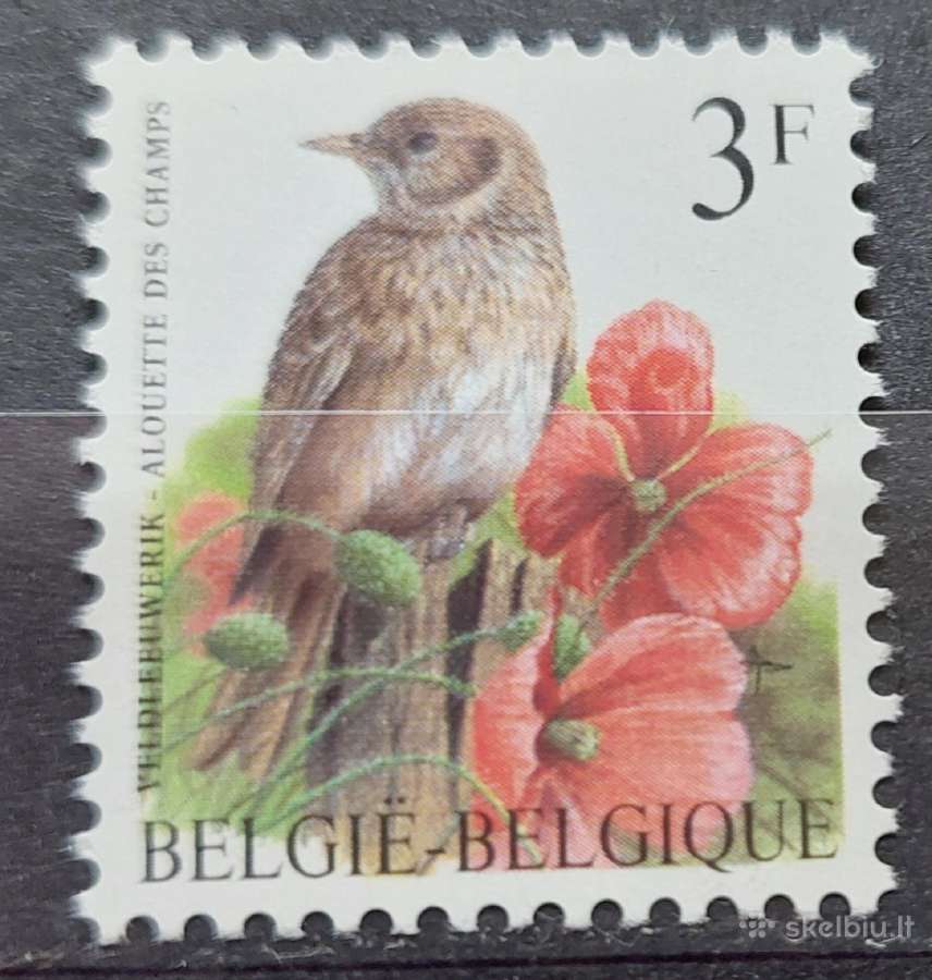 Belgija 1997 paukštis, švarus, Michel Nr.2757