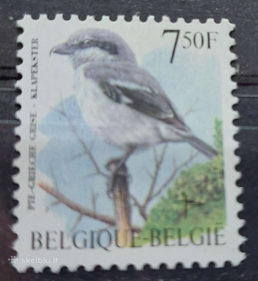 Belgija 1998 paukštis, švarus, Michel Nr.2827