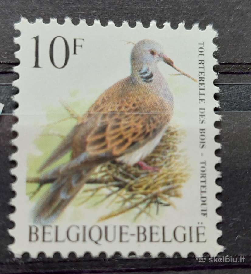 Belgija 1998 paukštis, švarus, Michel Nr.2833