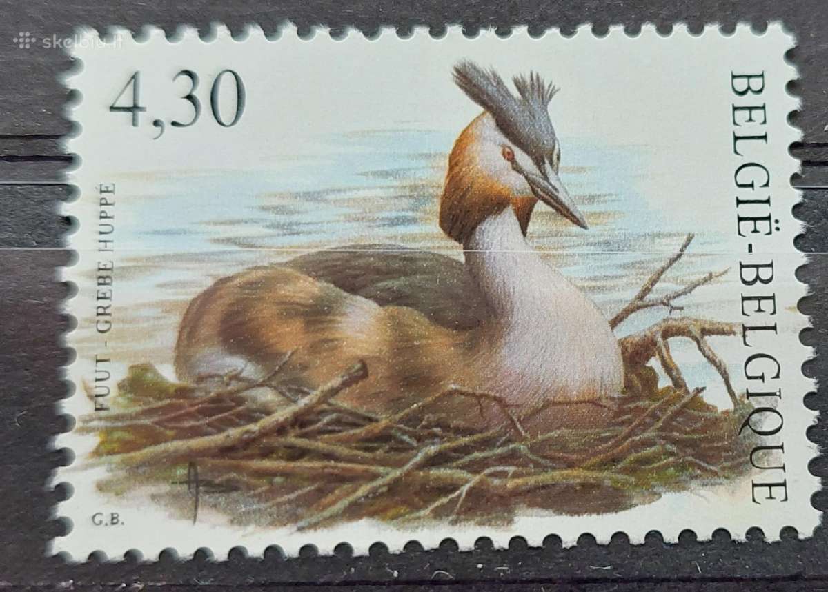 Belgija 2006 paukštis, švarus, Michel Nr.3586