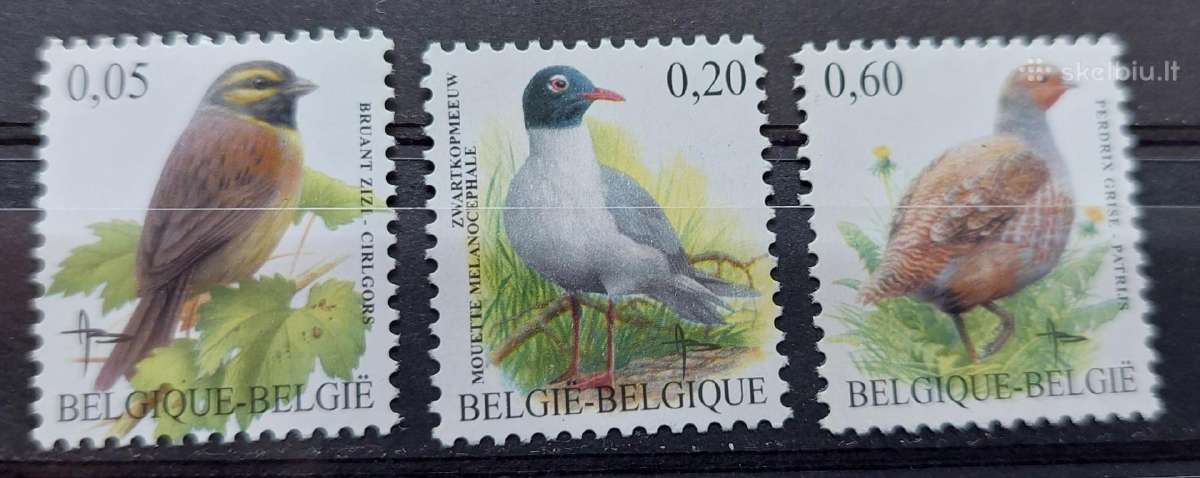 Belgija 2005 paukščiai, švarus, Michel Nr.3427-342