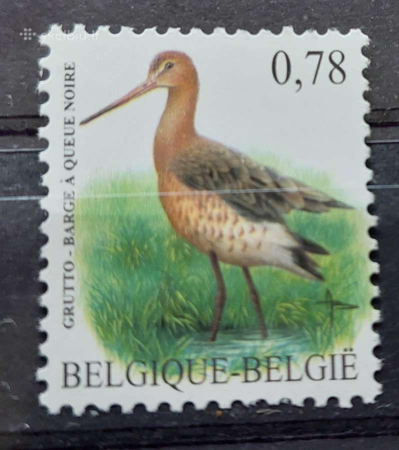 Belgija 2006 paukštis, švarus, Michel Nr.3549