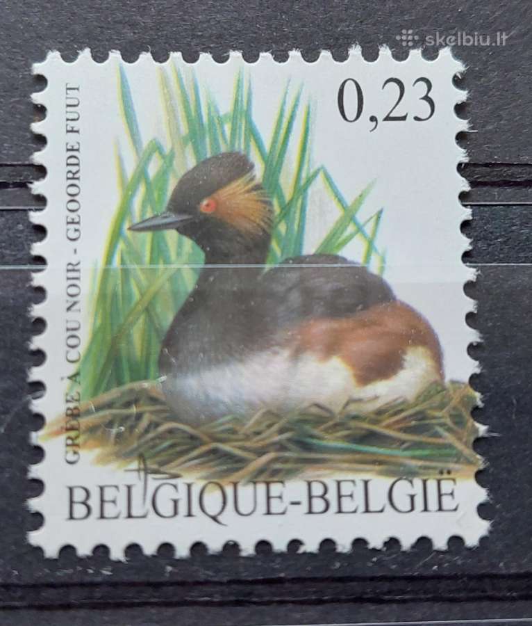 Belgija 2006 paukštis, švarus, Michel Nr.3594