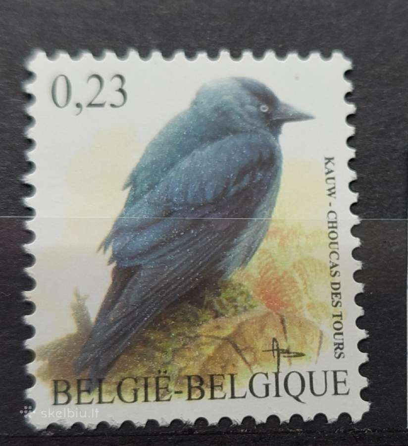 Belgija 2007 paukštis, švarus, Michel Nr.2680