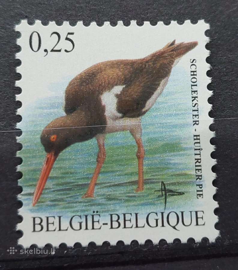 Belgija 2002 paukštis, švarus, Michel Nr.3140