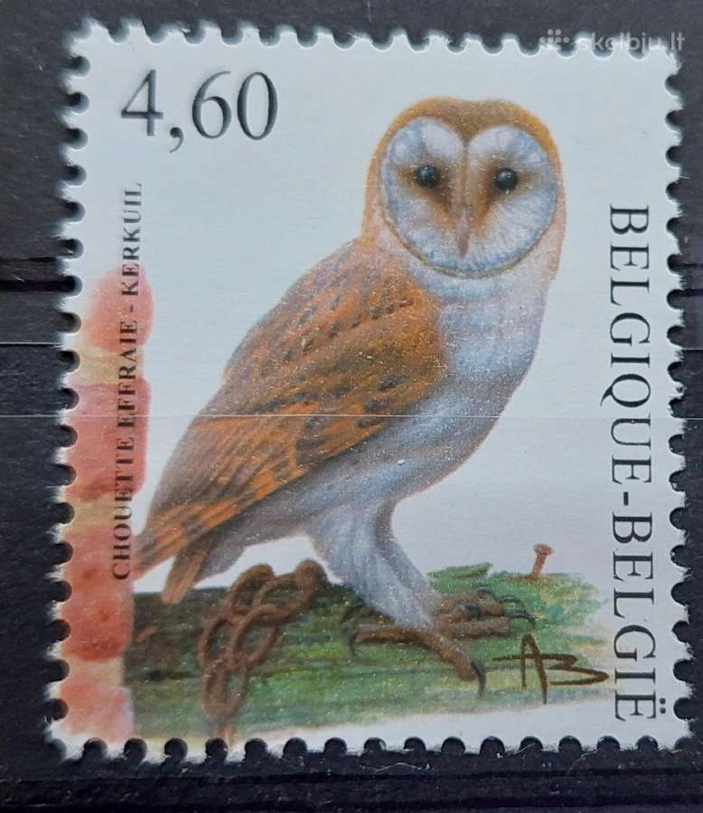 Belgija 2010 paukštis, švarus, Michel Nr.4029