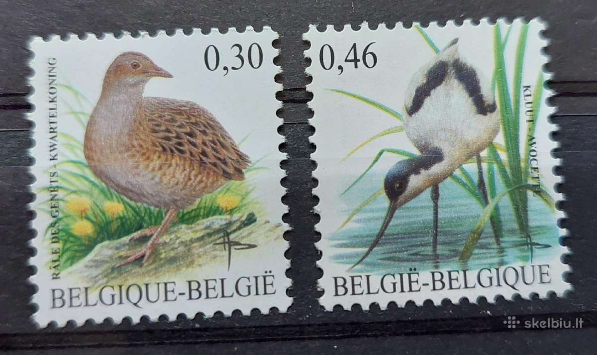 Belgija 2006 paukščiai, švarus, Michel Nr.3526-352