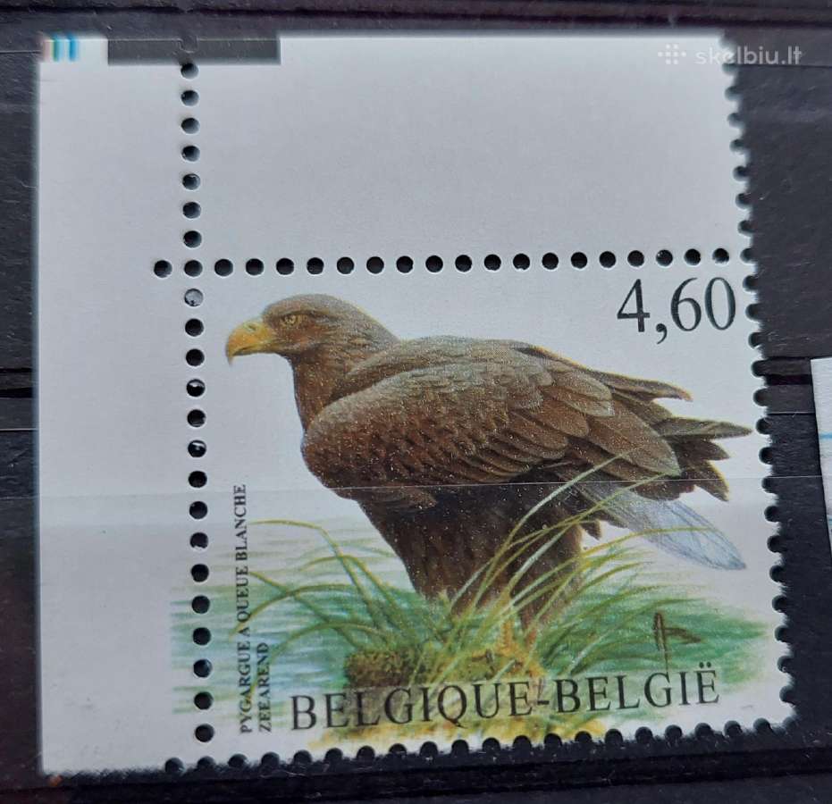 Belgija 2009paukštis(erelis), švarus, Michel Nr.39