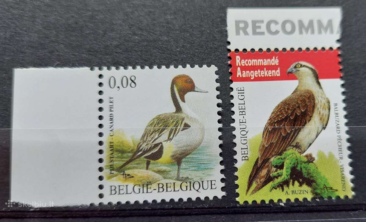 Belgija 2011 paukščiai, švarus, Michel Nr.4136-413