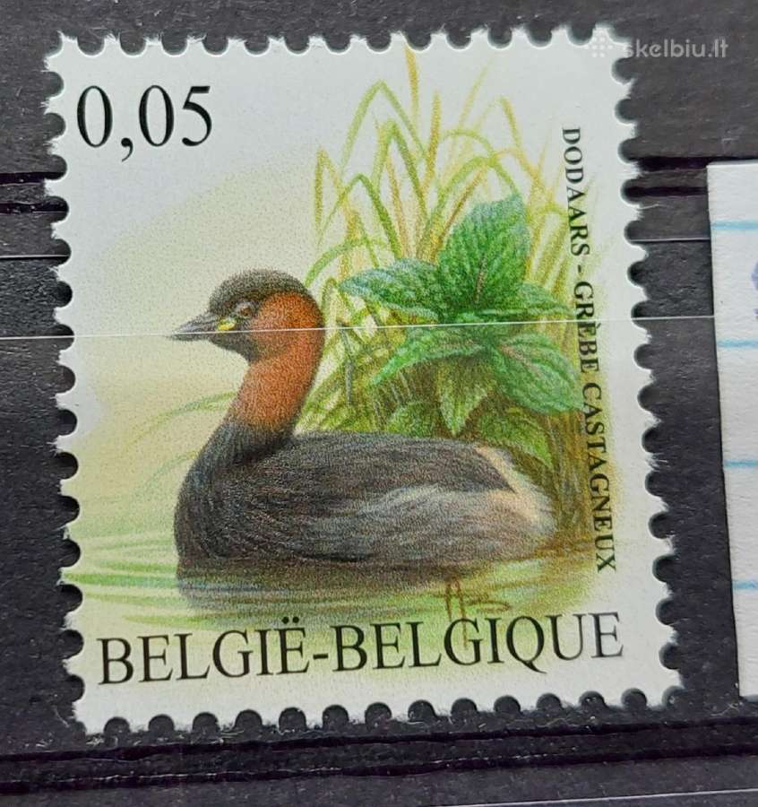 Belgija 2010paukštis, švarus, Michel Nr.4039