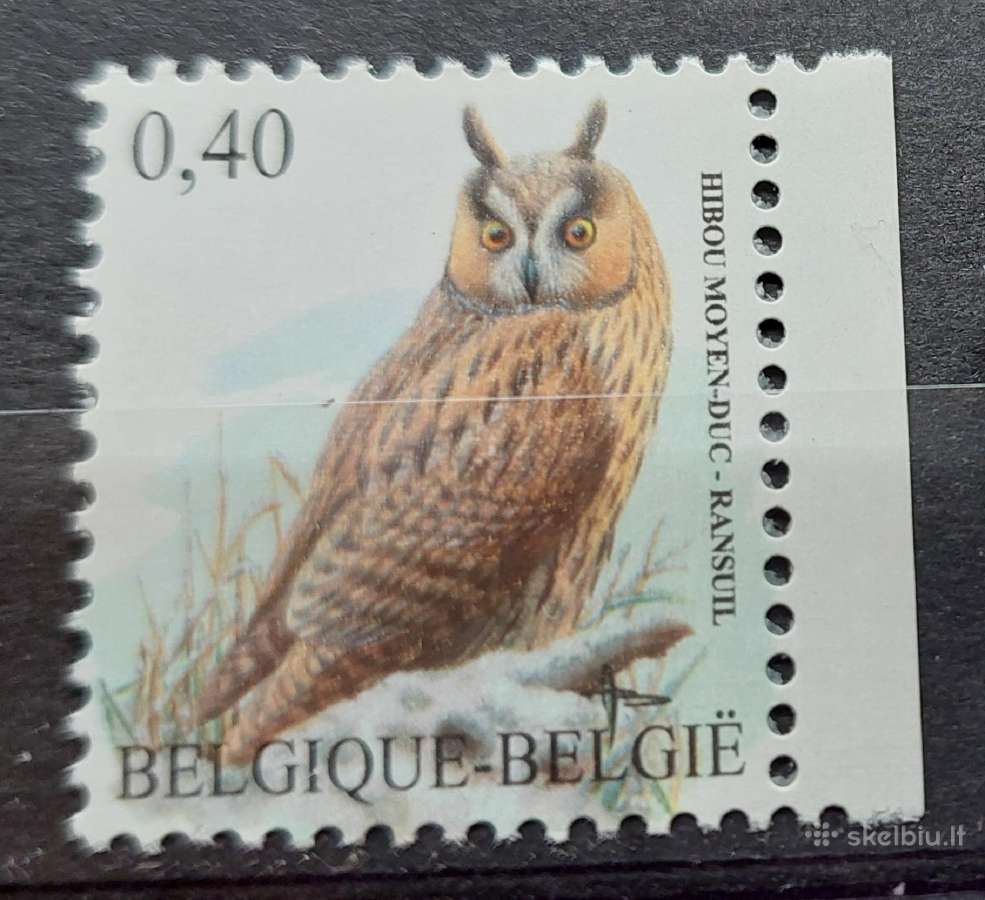 Belgija 2007paukštis(apuokas), švarus, Michel Nr.3