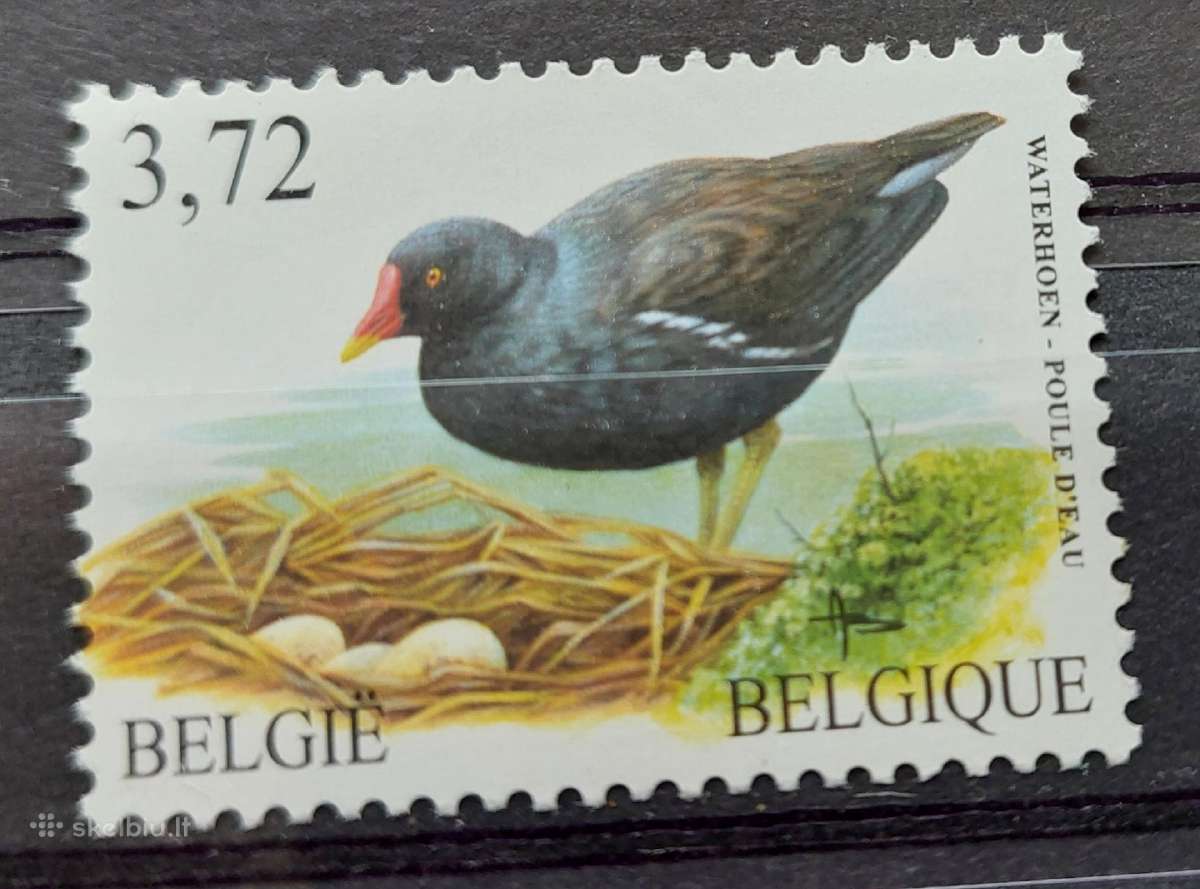 Belgija 2003paukštis, švarus, Michel Nr.3261