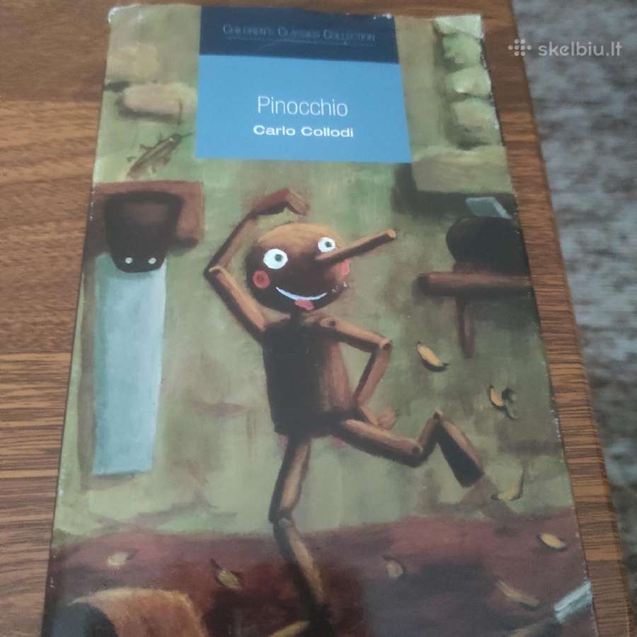 Knyga anglų kalba