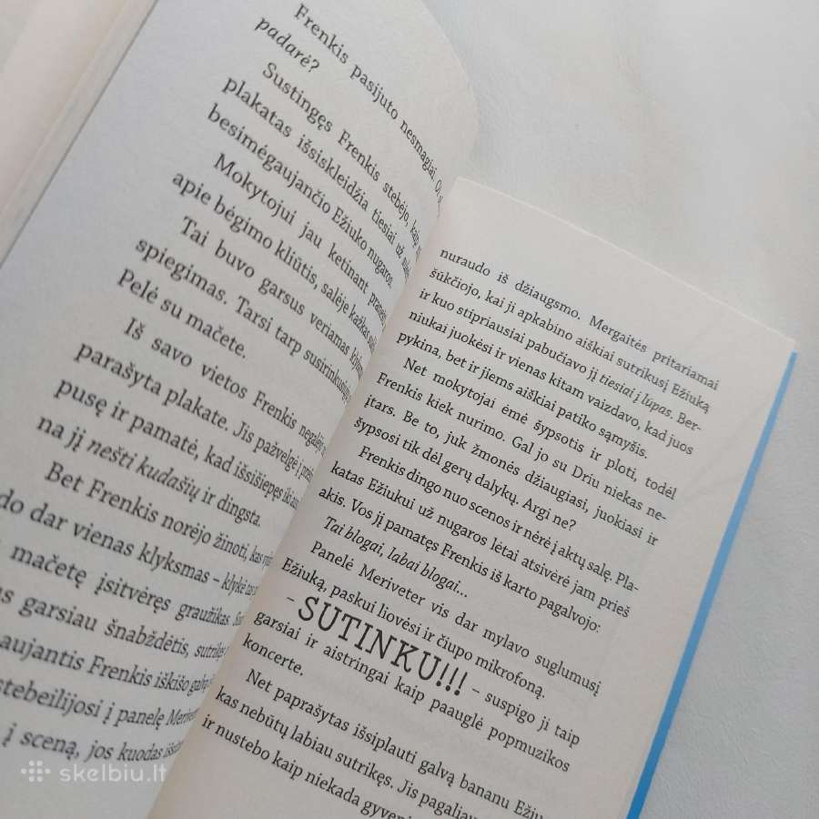 Nauja knyga Frenkis Fišas ir garsinis lagaminas - nuotraukos Nr. 8