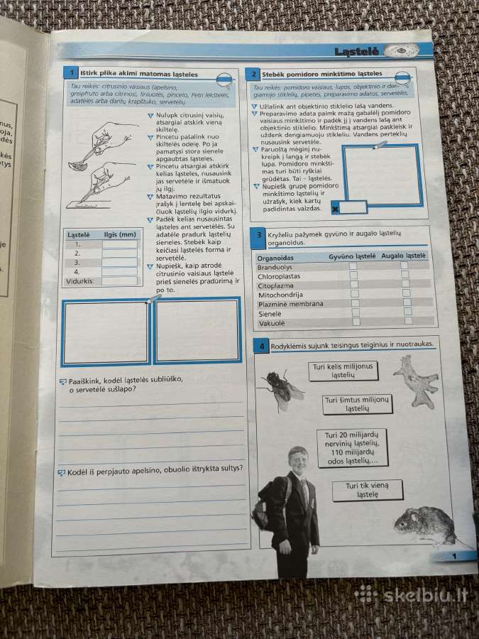 Biologijos pratybos 7 klasė - nuotraukos Nr. 2