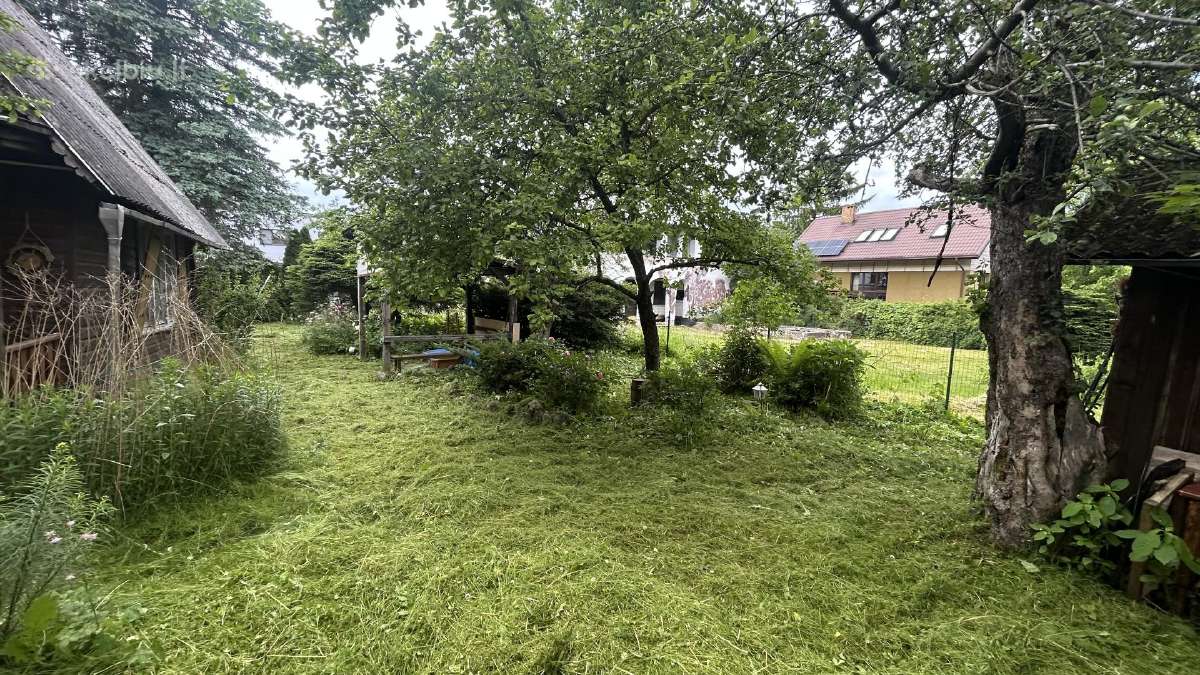Pavojingų,avarinių medžių pjovimas, sklypų valymas - nuotraukos Nr. 21