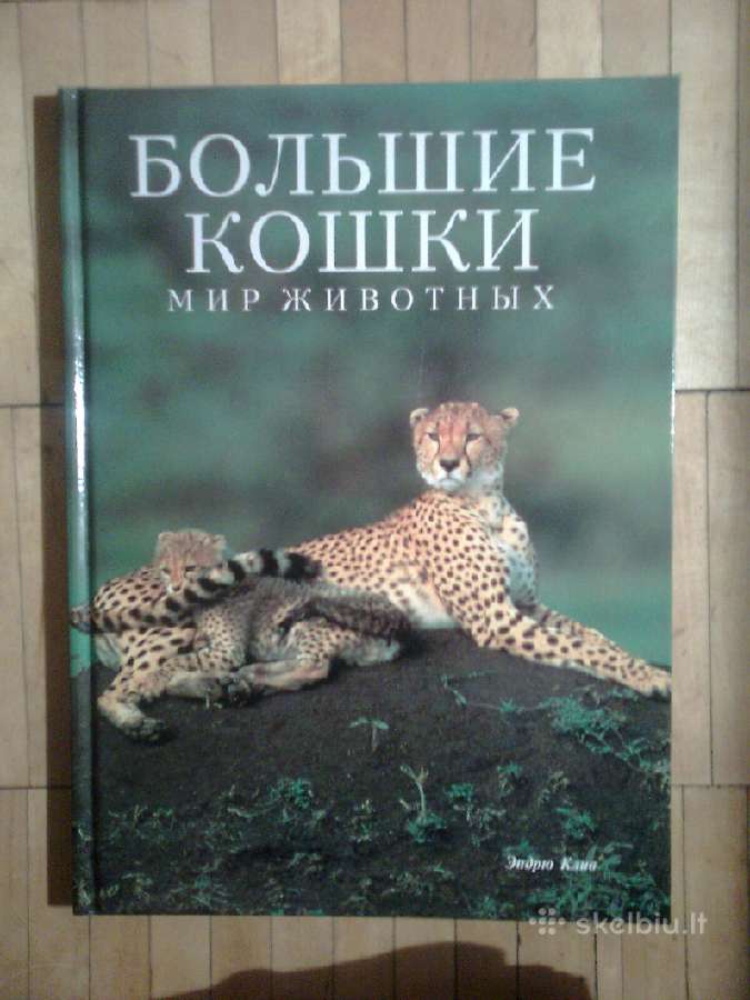 Ispudingas albumas "Bolsyje Koski" 1995m.