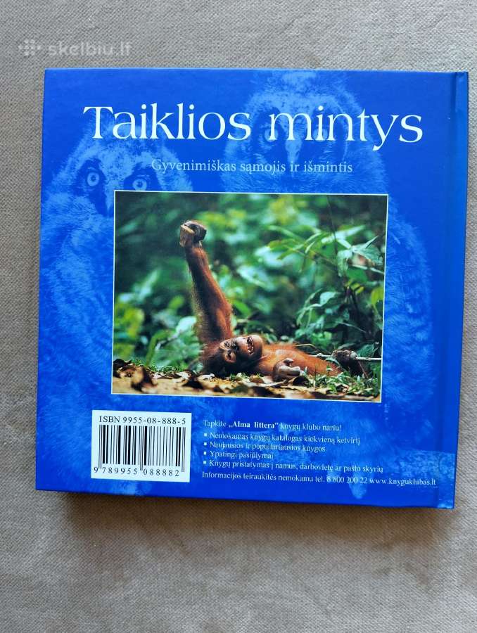 Taiklios mintys - nuotraukos Nr. 2