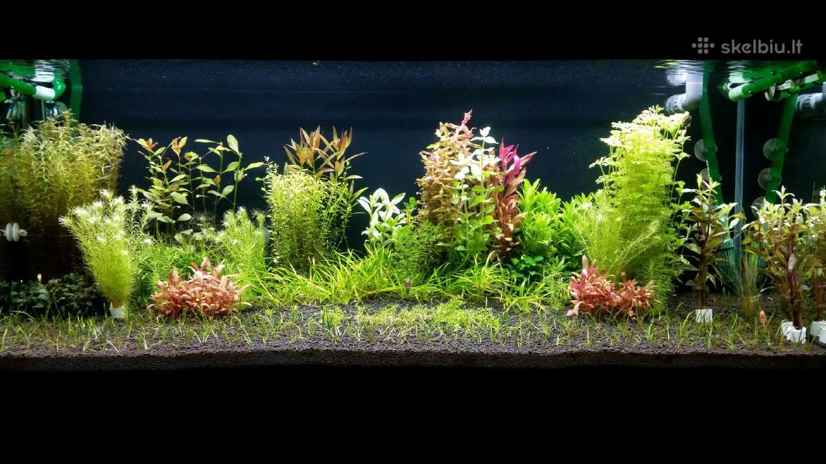 Parduodu akvariuma Diversa Solid 120cm/240l - nuotraukos Nr. 2