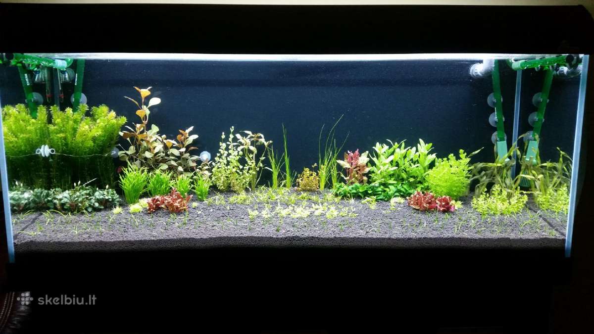 Parduodu akvariuma Diversa Solid 120cm/240l - nuotraukos Nr. 3
