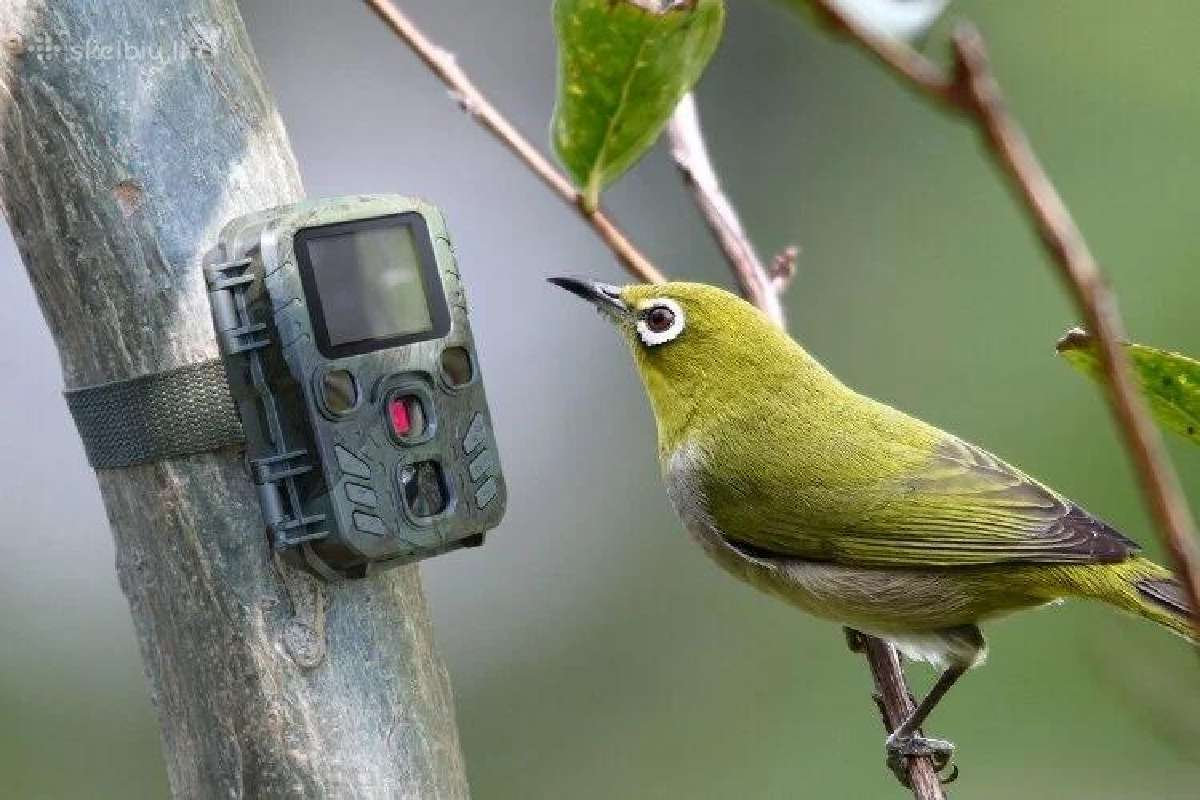 Medžioklės kamera Technaxx Mini Nature Wild Cam Tx