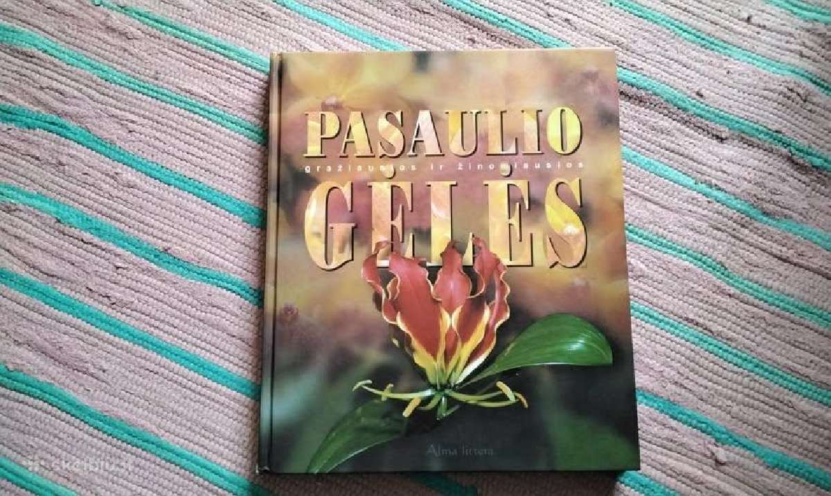 Pasaulio gražiausios ir žinomiausios gėlės