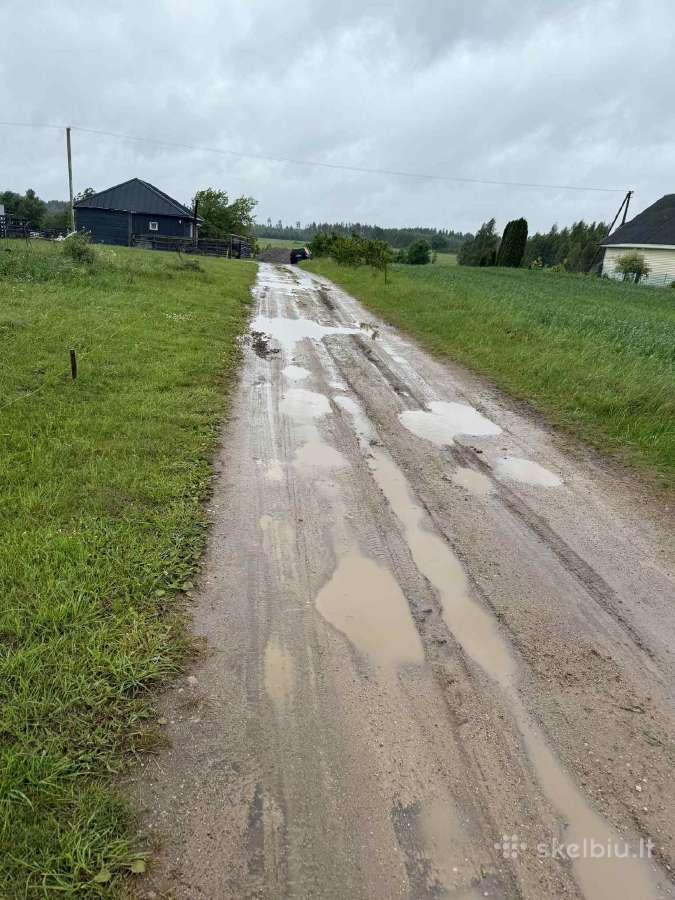 Račioko Cat 444 nuoma,mini eks 6 t nuoma - nuotraukos Nr. 3