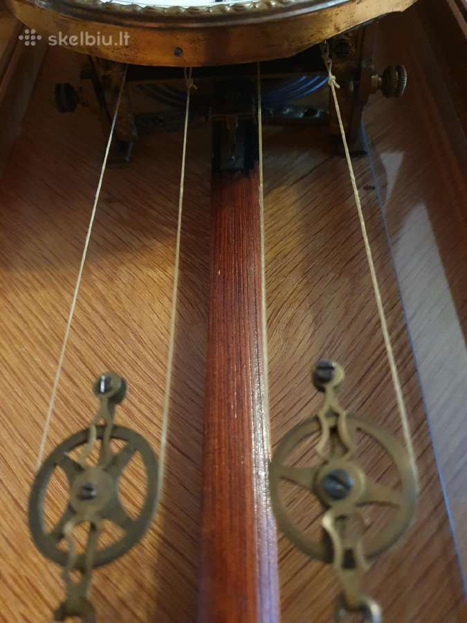 Sieninis laikrodis - nuotraukos Nr. 7