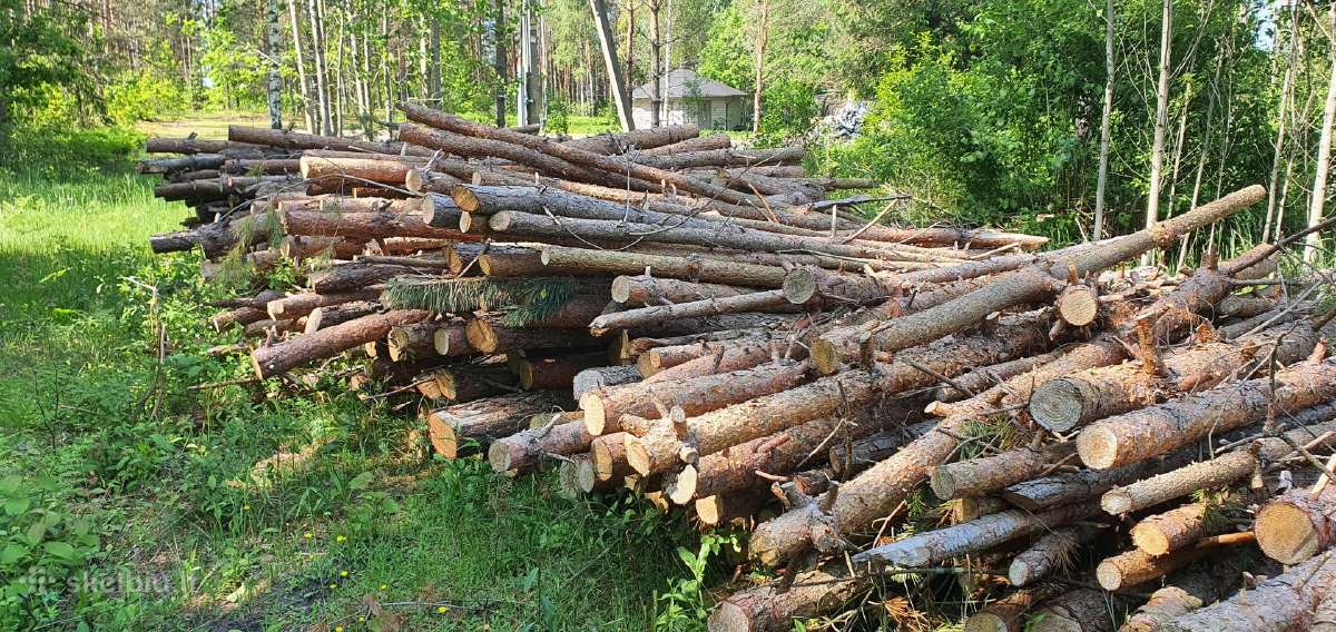 Pušiniai rastai malkoms - nuotraukos Nr. 2