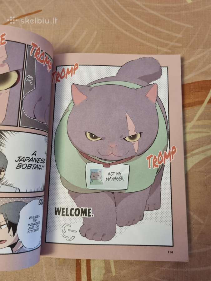 The Purr-fect stress release - nuotraukos Nr. 3
