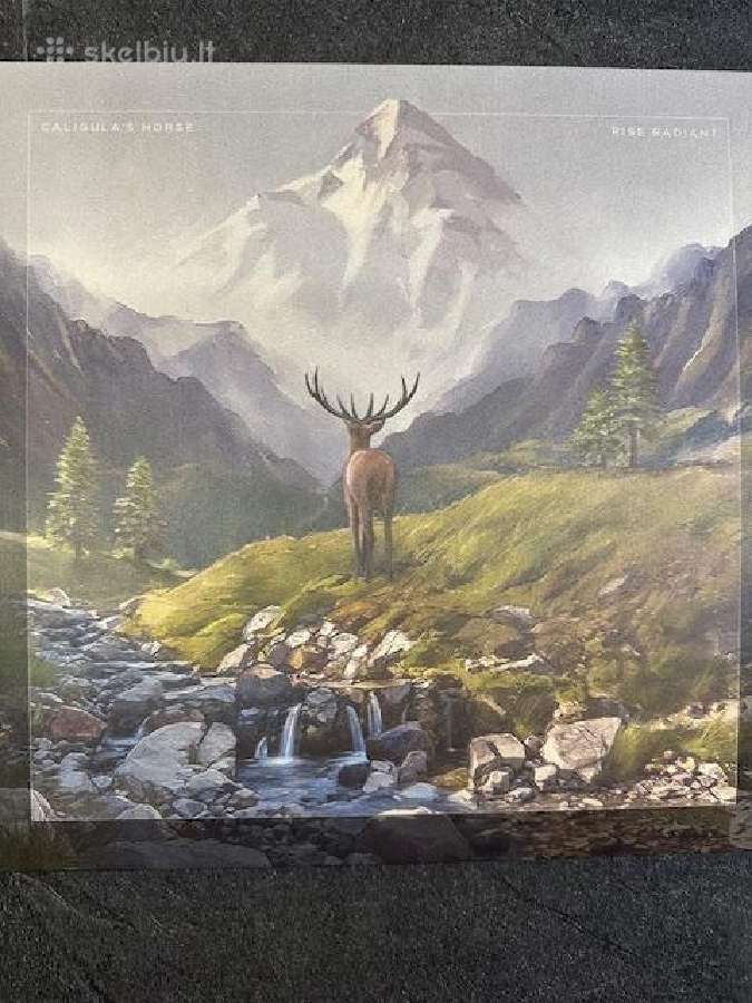 Progrock - nuotraukos Nr. 2