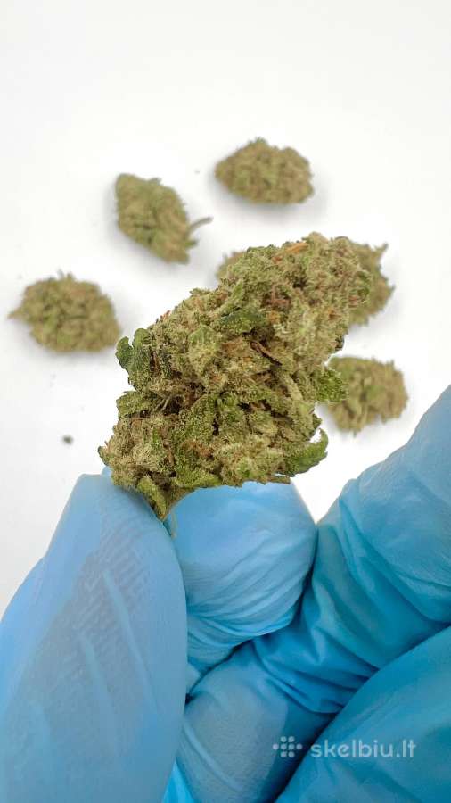 Cbd žiedai aliejus Naujiena ! - nuotraukos Nr. 5