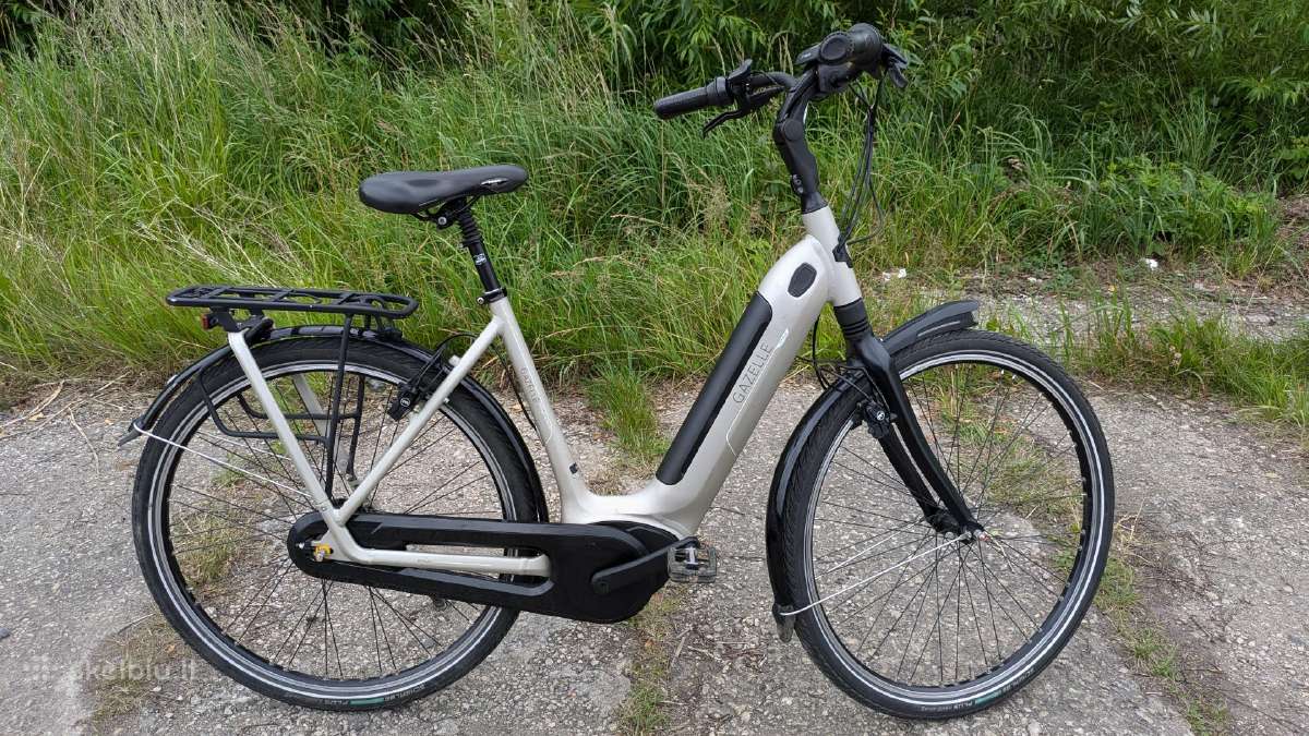 Gazelle Arroyo