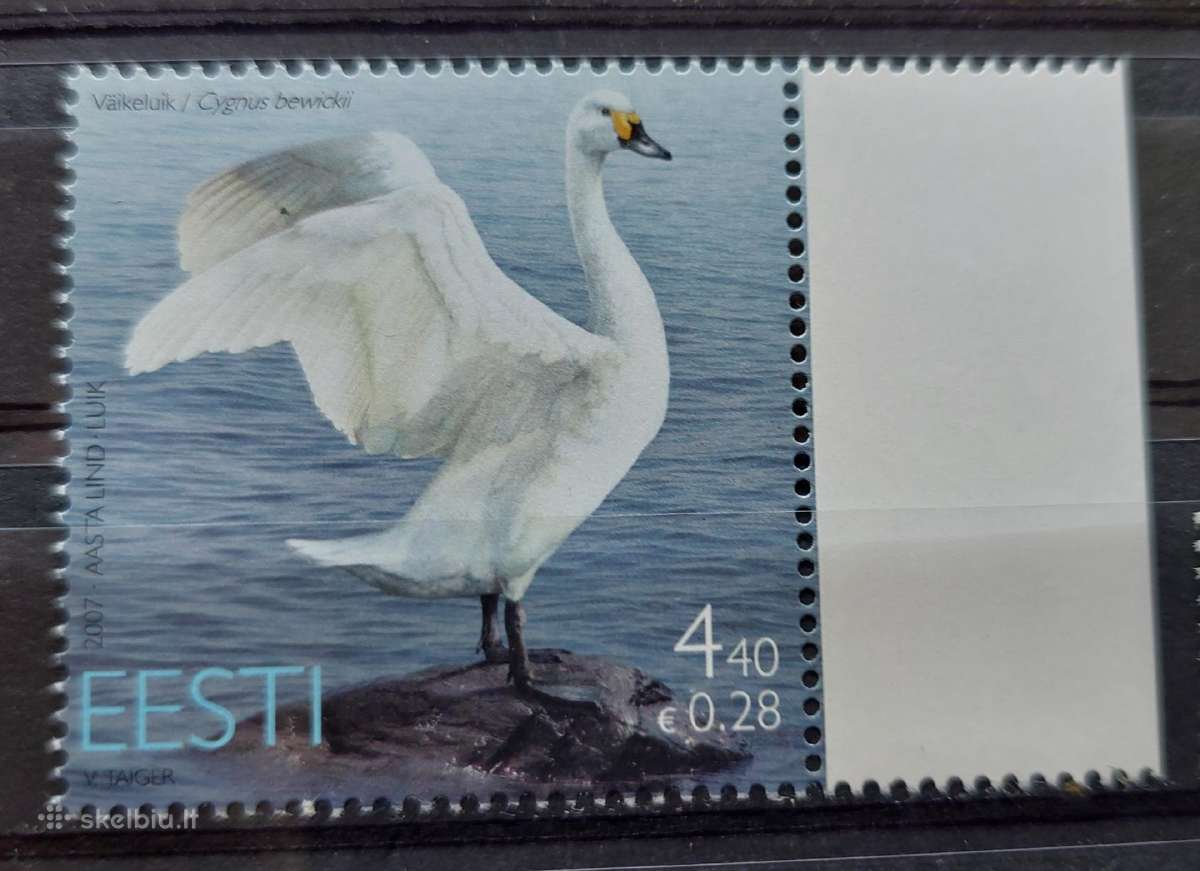 Estija 2007 gulbe, švarus, Michel Nr.580