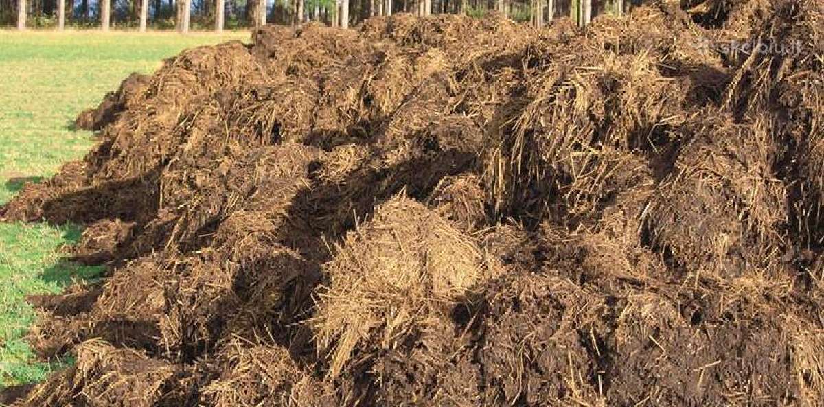 Mėšlo, digestato granulių gamybos linijos