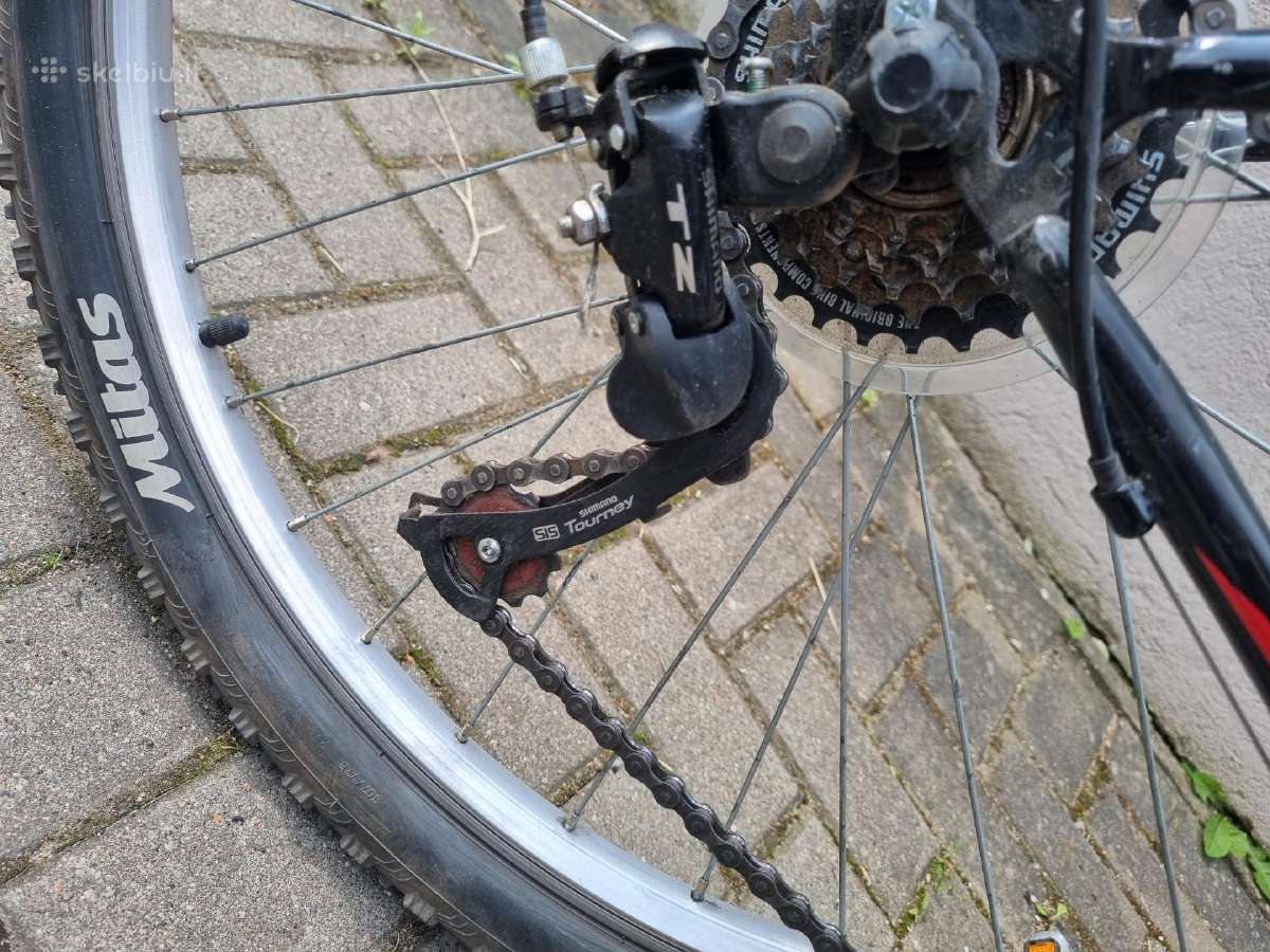 26" ratų kalnų dviratis 18 bėgių Dema Ecco 1.0 - nuotraukos Nr. 4