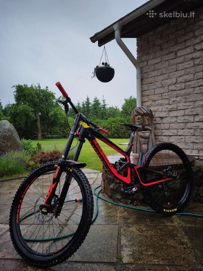 Polygon collosus Dh9 Team 2019m