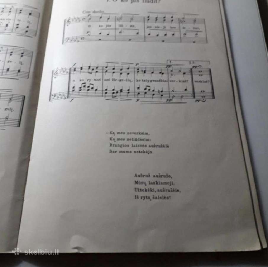 Aušrelei beauštant. 28 liaudies dainos mišriam cho - nuotraukos Nr. 3