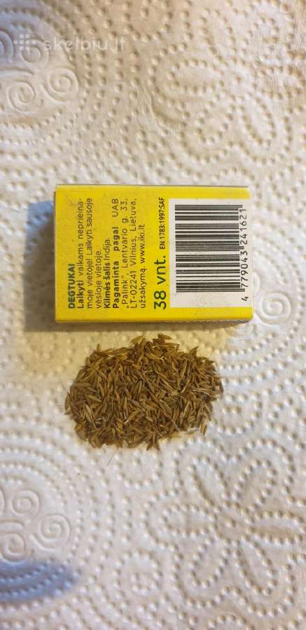 Kiaulpienių sėklos.taraxacum officinale.dandelion - nuotraukos Nr. 3