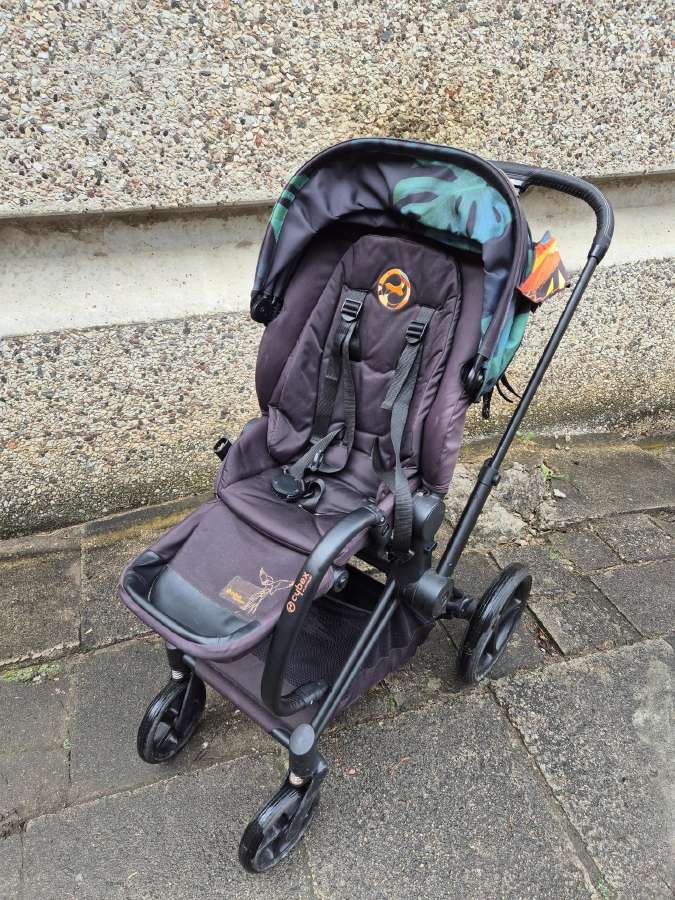 Cybex Platinum Priam vežimas ir lopšys