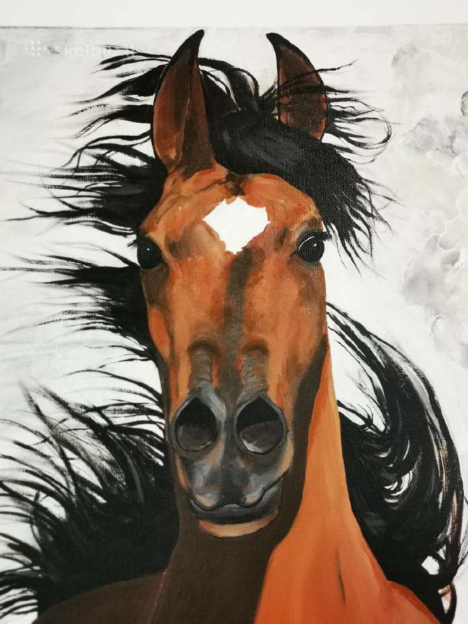 Paveikslas Arabian Horse - nuotraukos Nr. 2