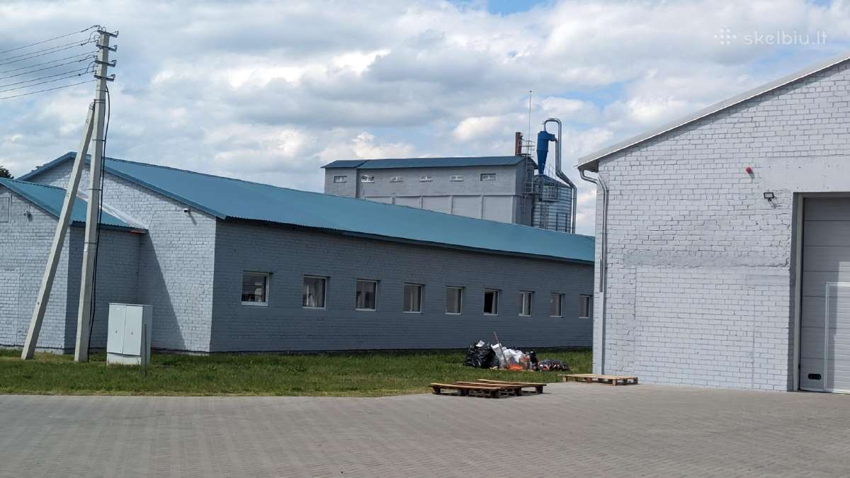 Angarų, laiptinių dažymas Kaunas Dekoratyvinis - nuotraukos Nr. 10
