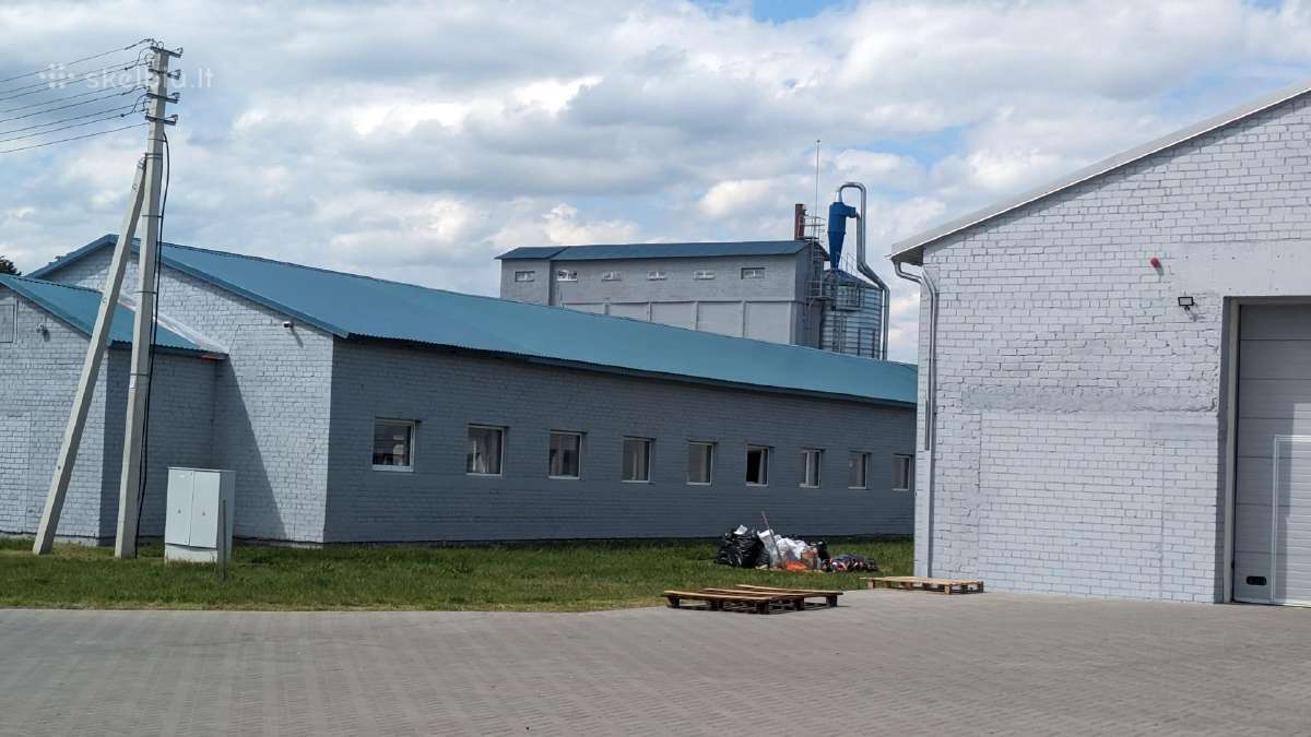 Stogų ir fasadų dažymas Kaunas Dekoratyvinis tin - nuotraukos Nr. 11