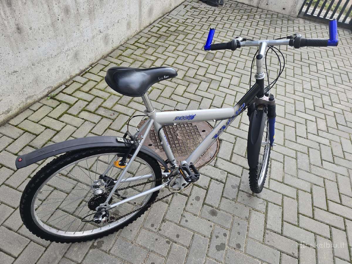 Dviratis 26 colių
